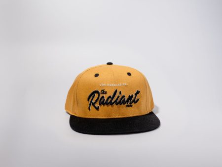 Black & Yellow Radiant Snapback Fashion