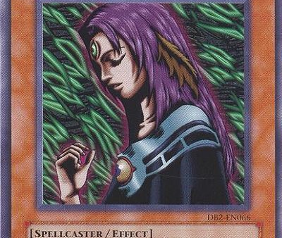 Witch of the Black Forest [DB2-EN066] Rare Cheap