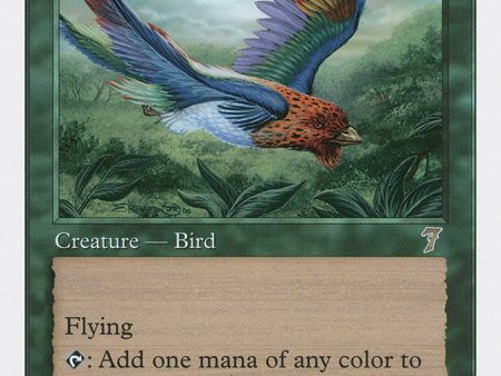 Birds of Paradise [Seventh Edition] Online Sale